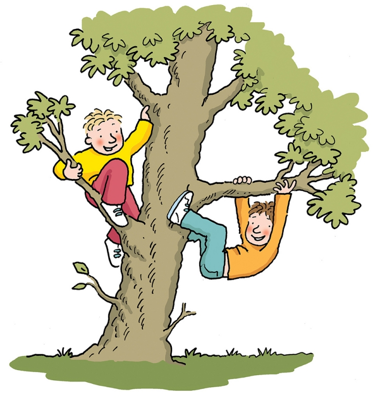 Лазать по деревьям. Дети лазают по деревьям. Дерево иллюстрация. Взбираться на дерево. Деревья не терпят