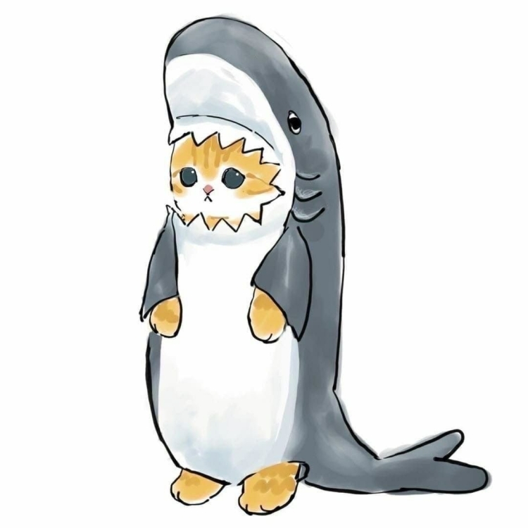 Милый котик в костюме акулы рисунок