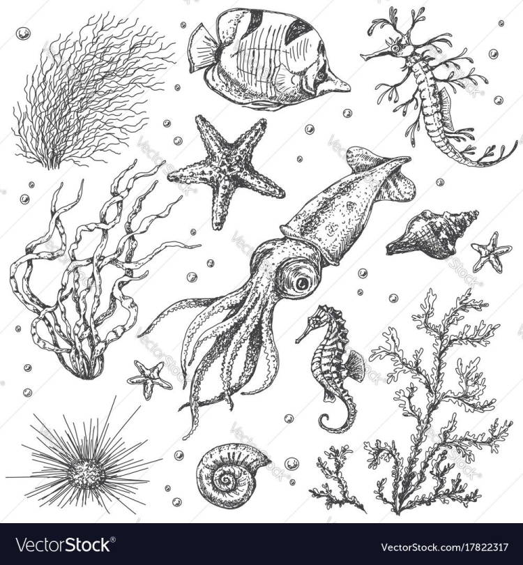 Подводные животные байкала