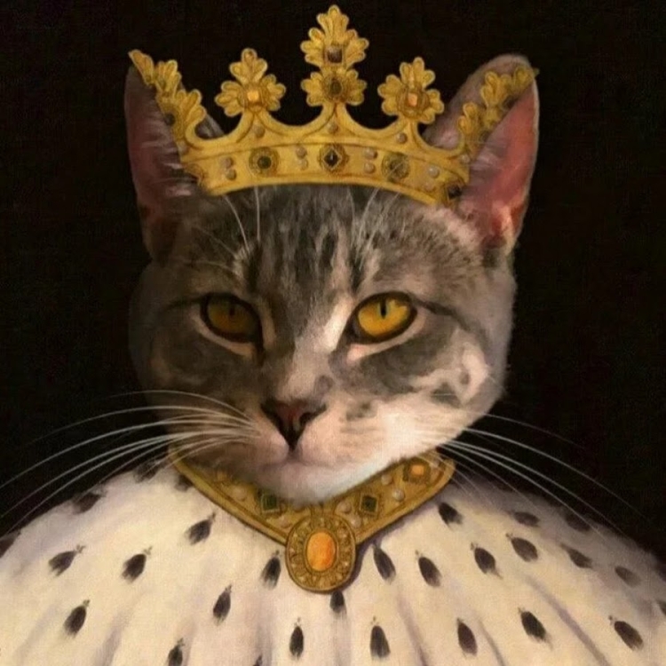 Кот царь. Кошка с короной на голове. Королевский кот. Кот в короне