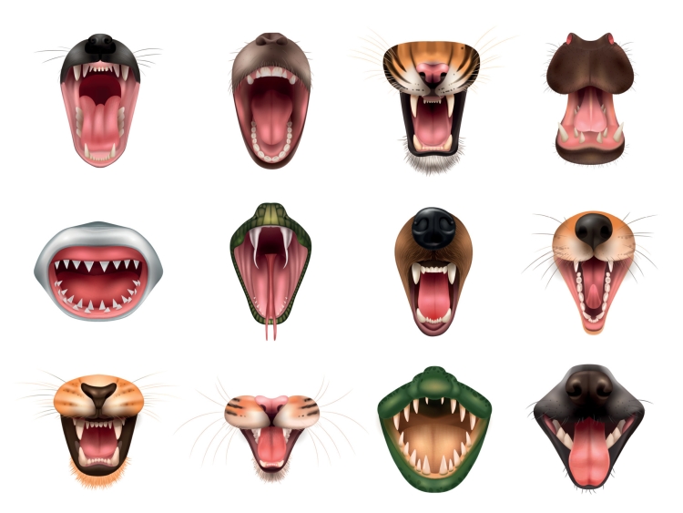 Животные с открытым ртом
