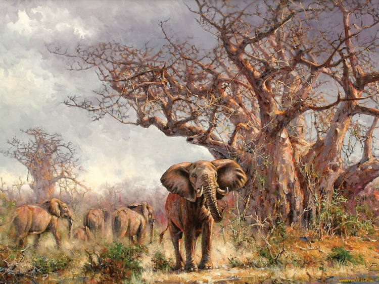 Млекопитающие животные африки