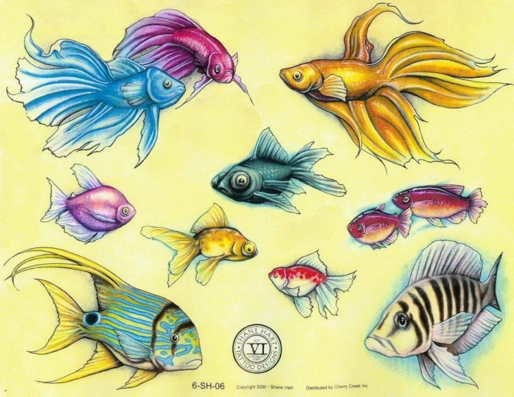 Морские рыбы и животные рисунки