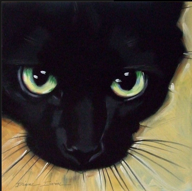 Черный кот с коричневыми глазами