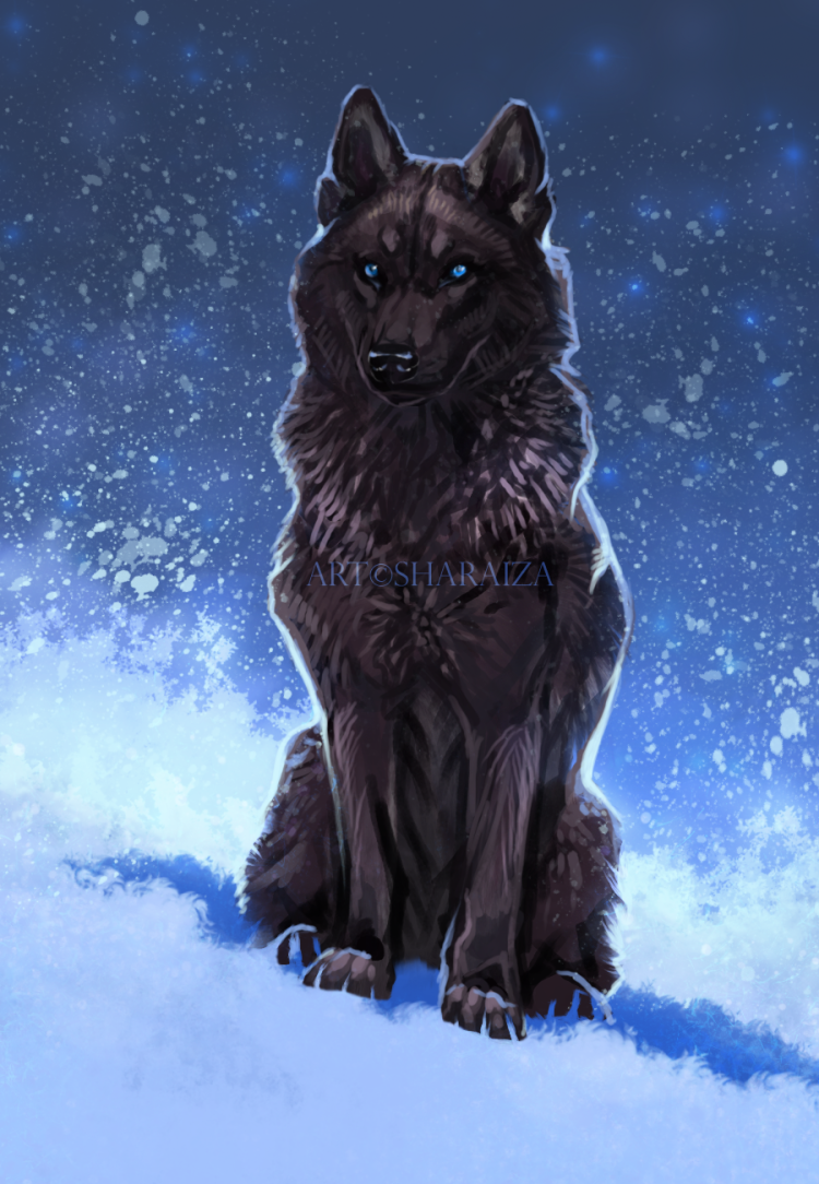 Черный волк с голубыми глазами - 75 фото