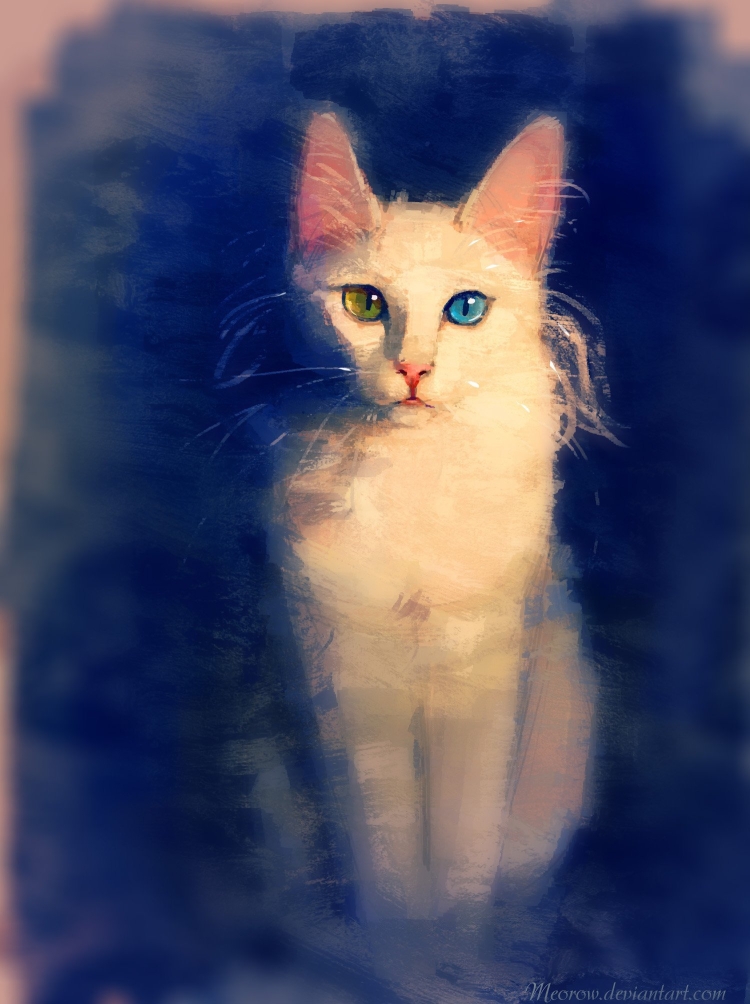 Белый кот с разноцветными глазами