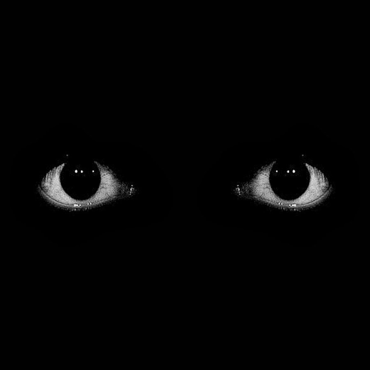Страшные глаза в темноте