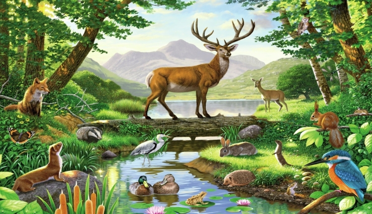 Природа и животные земли