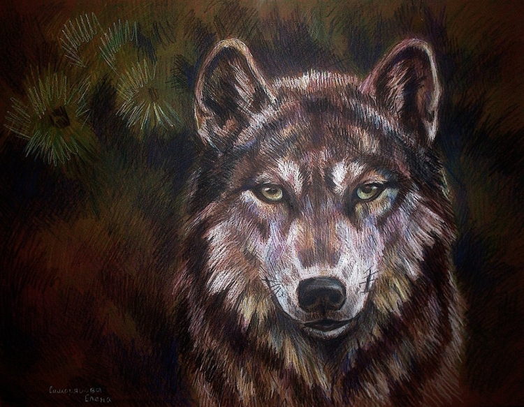 Черный волк с зелеными глазами
