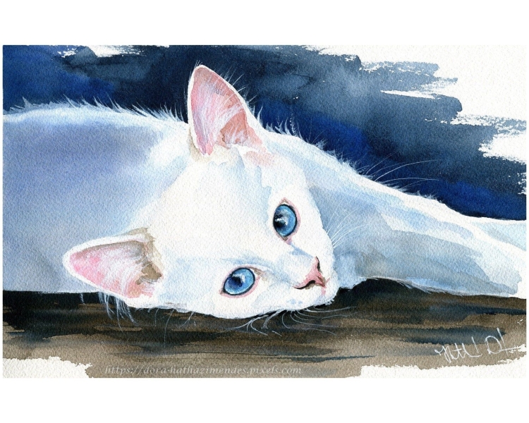 Белый кот с серыми глазами