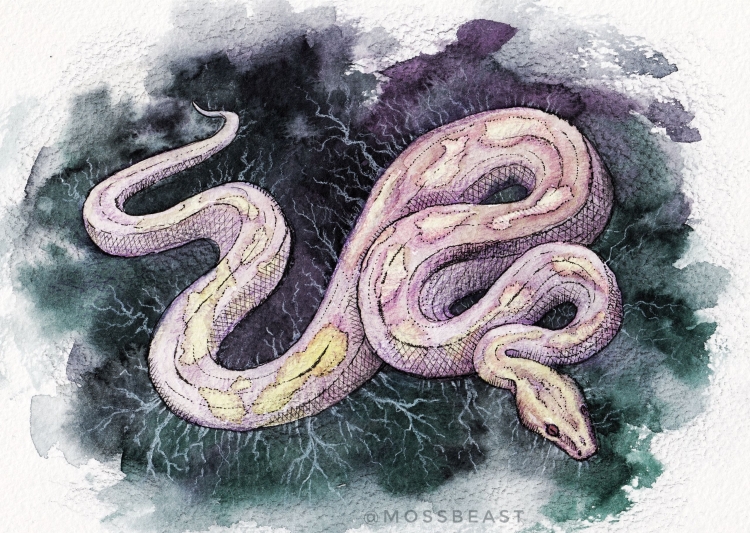 Белая змея в природе