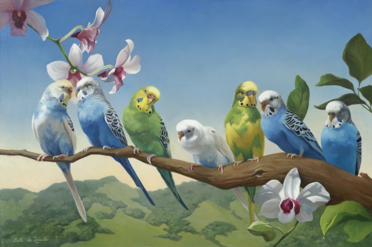 Стая волнистых попугаев в природе