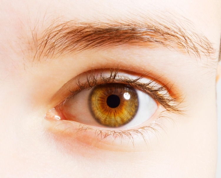 Янтарный цвет глаз у мужчин
