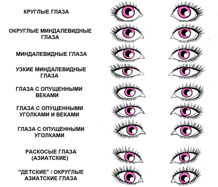 Формы глаз у человека