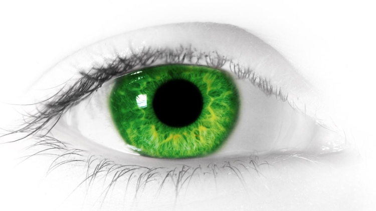 Зелено желтый цвет глаз