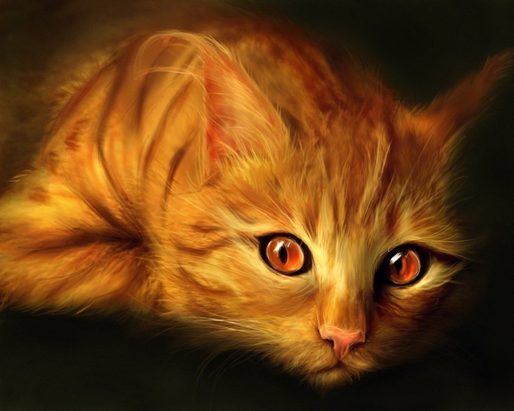 Рыжая кошка с карими глазами