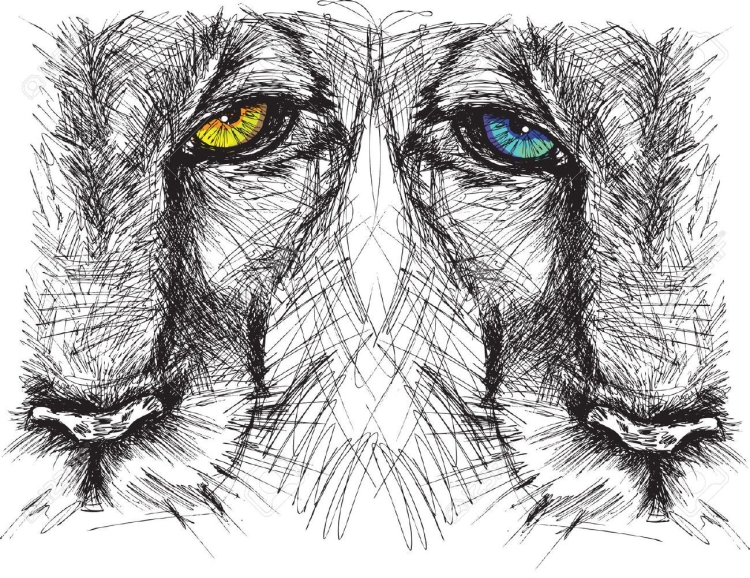 Глаза льва рисунок