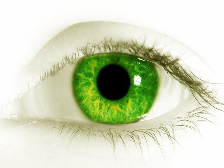 Ярко зеленый цвет глаз