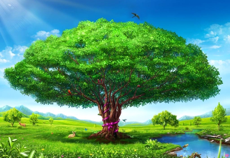 Красивая природа деревья