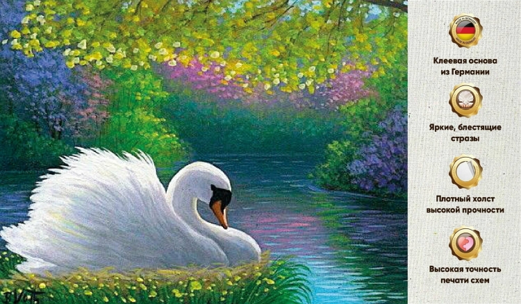 Красивая природа с лебедями