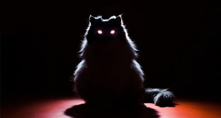 Кот в темноте с горящими глазами