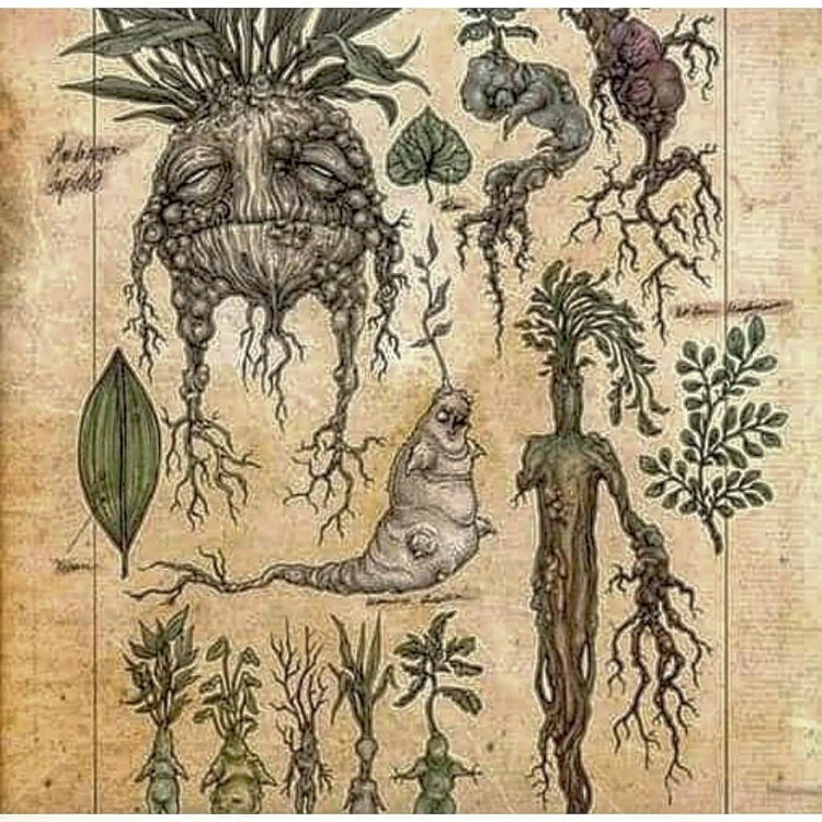 Страшные растения в природе
