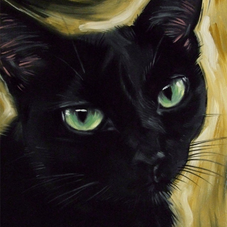 Черно белый кот с зелеными глазами