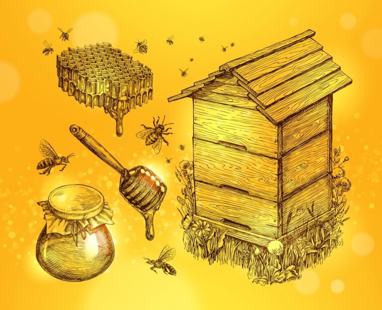 Домик пчел в природе