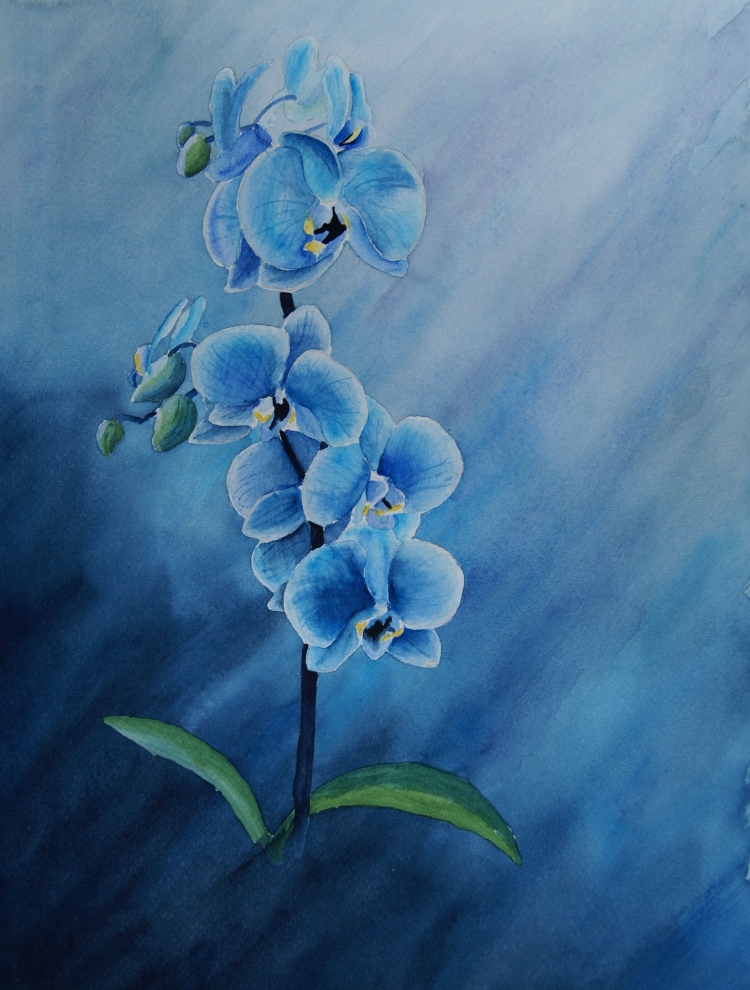 Синие орхидеи в природе