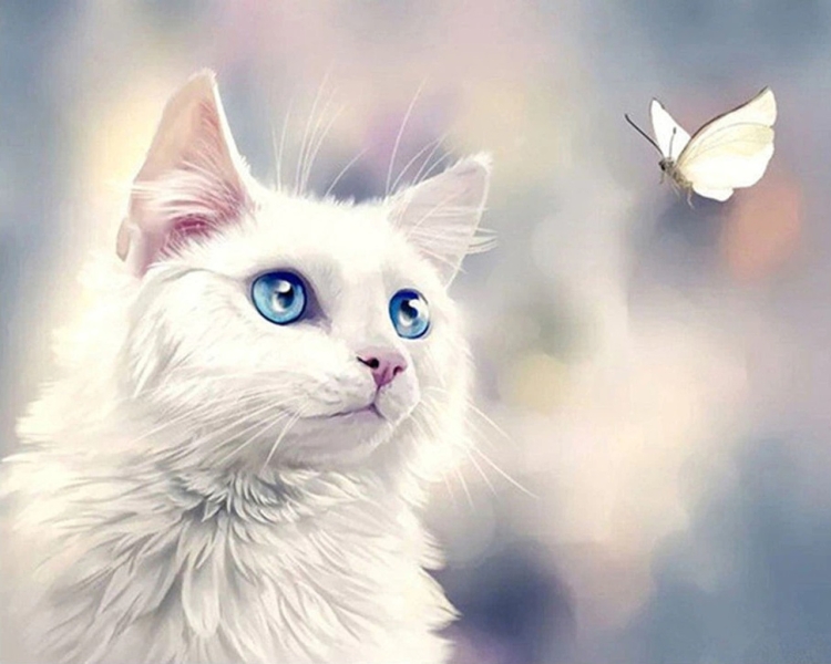 Белая пушистая кошка с разными глазами
