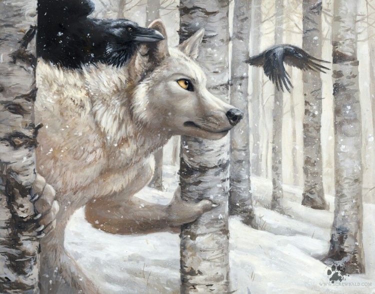 Вороны и волки в природе