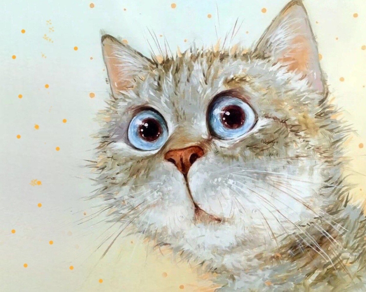 Кот с удивленными глазами