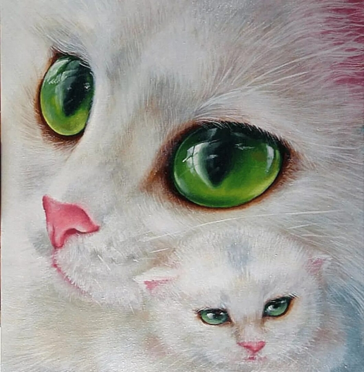 Котенок с разными глазами