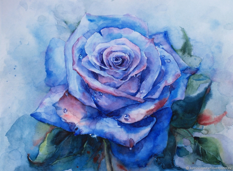 Синие розы в природе