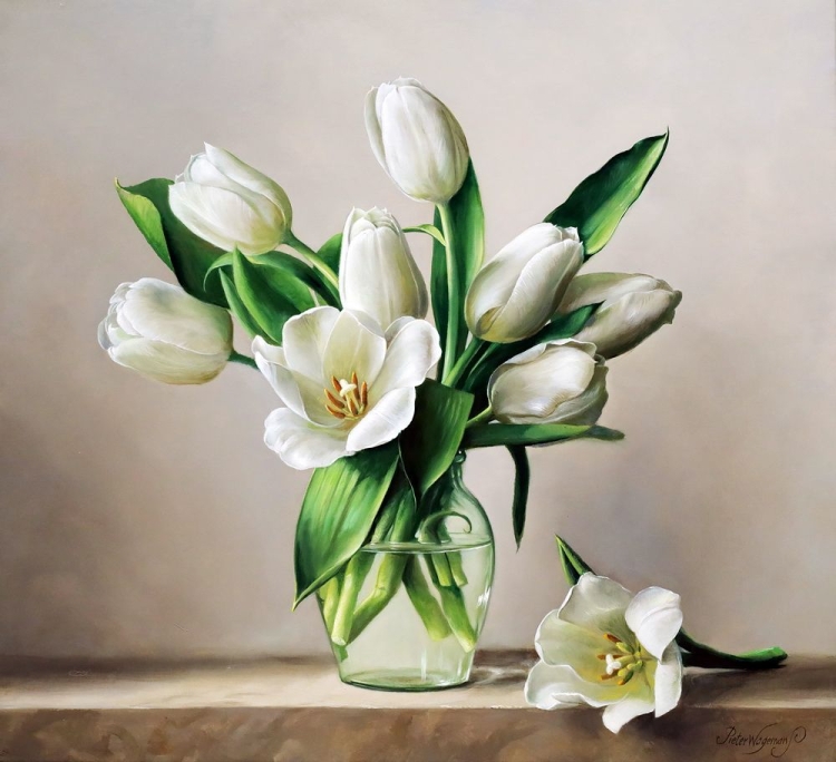 Белые тюльпаны в природе
