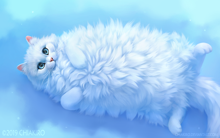 Белый пушистый котик с голубыми глазами