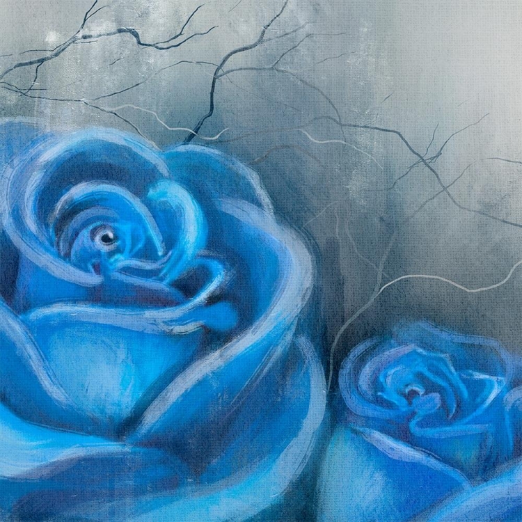 Голубые розы в природе