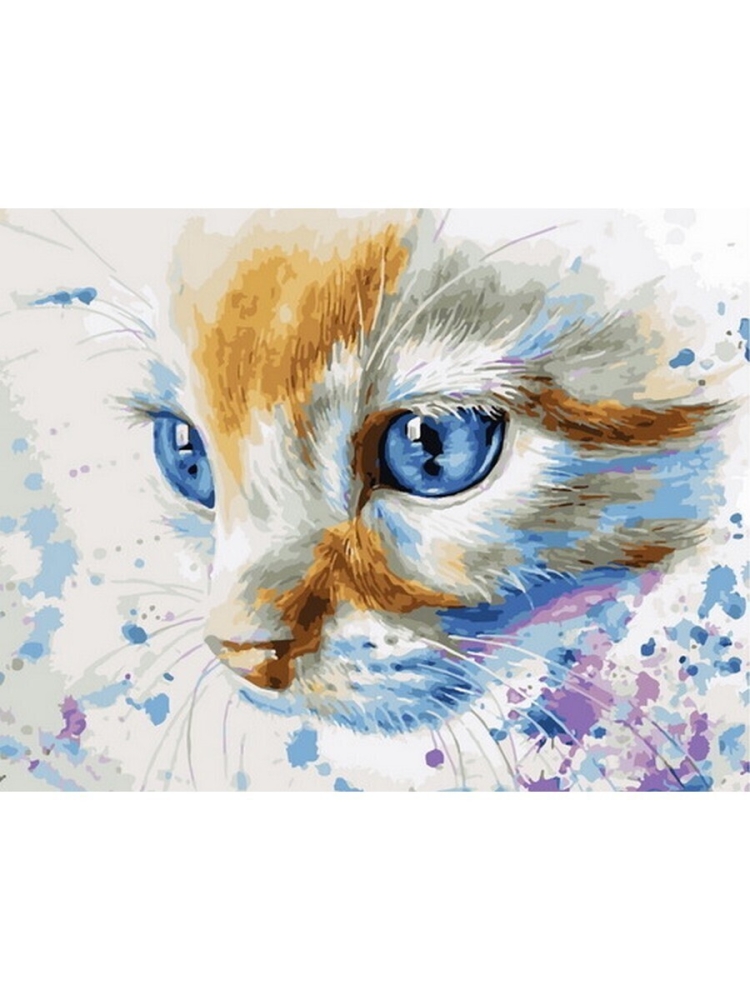 Шоколадный котенок с голубыми глазами
