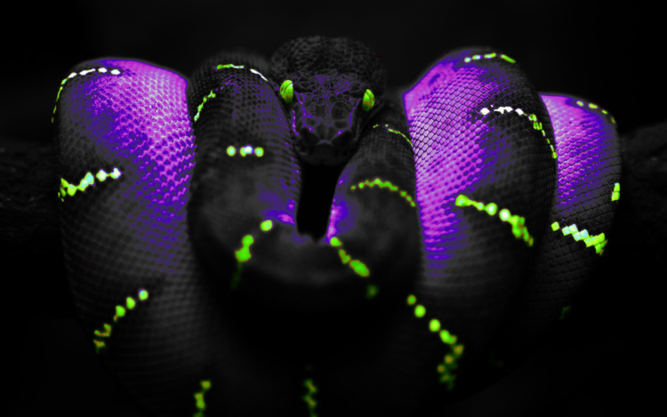Светящиеся змеи в природе