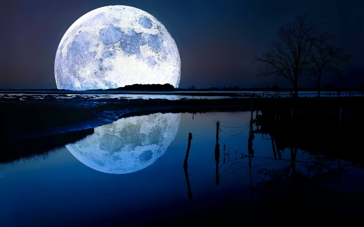 Ночь луна природа