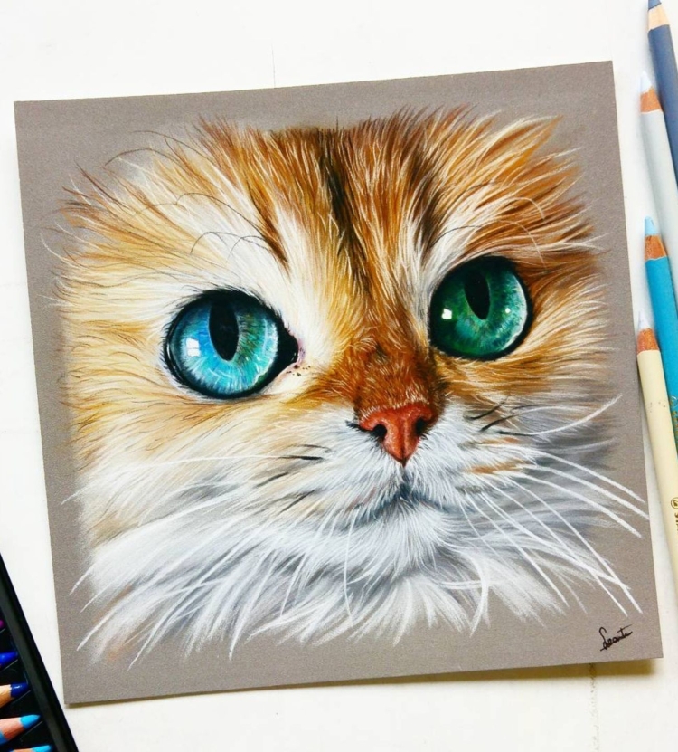 Нарисованные глаза кота