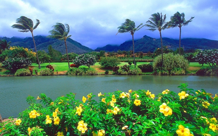 Гавайские острова природа