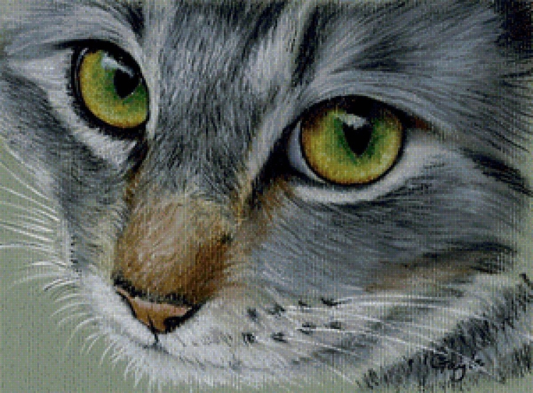 Зеленый цвет глаз у кошек