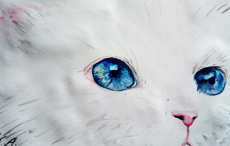 Нарисованные глаза кошки