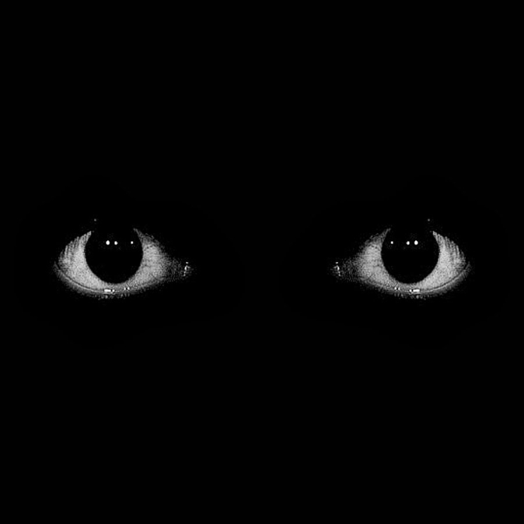 Два красных глаза в темноте