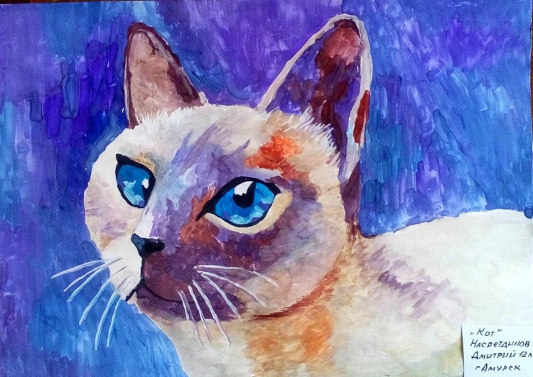 Бежевый кот с голубыми глазами