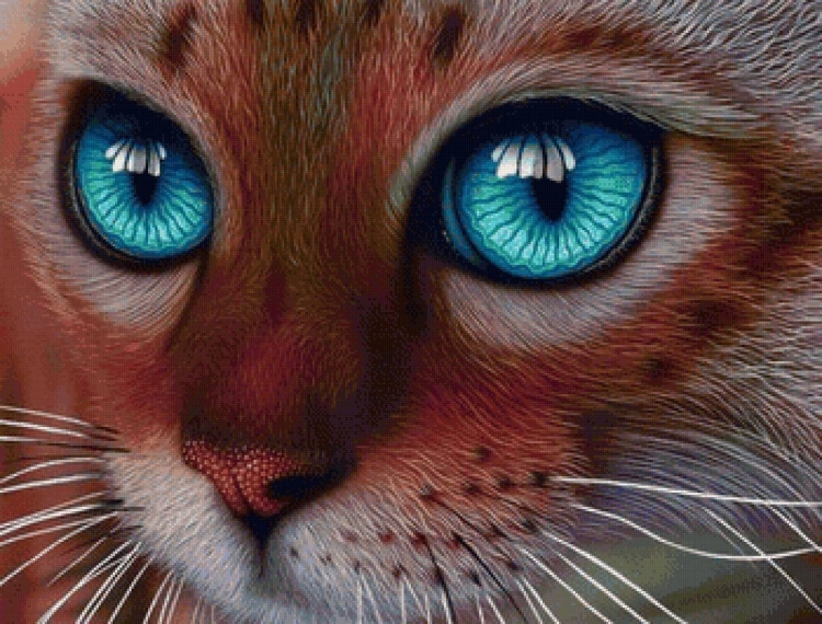 Котик с блестящими глазами
