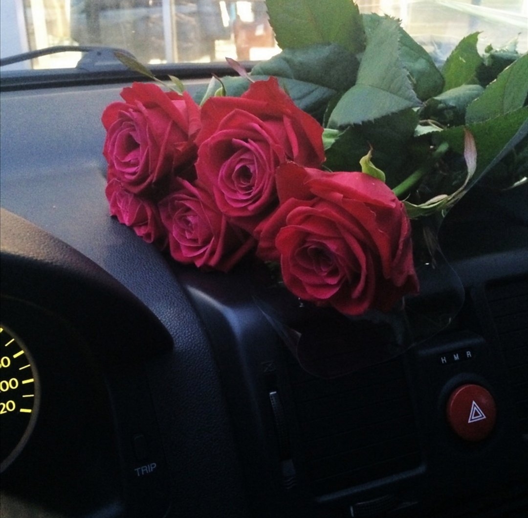 Цветы в машине на сиденье фотография #661467