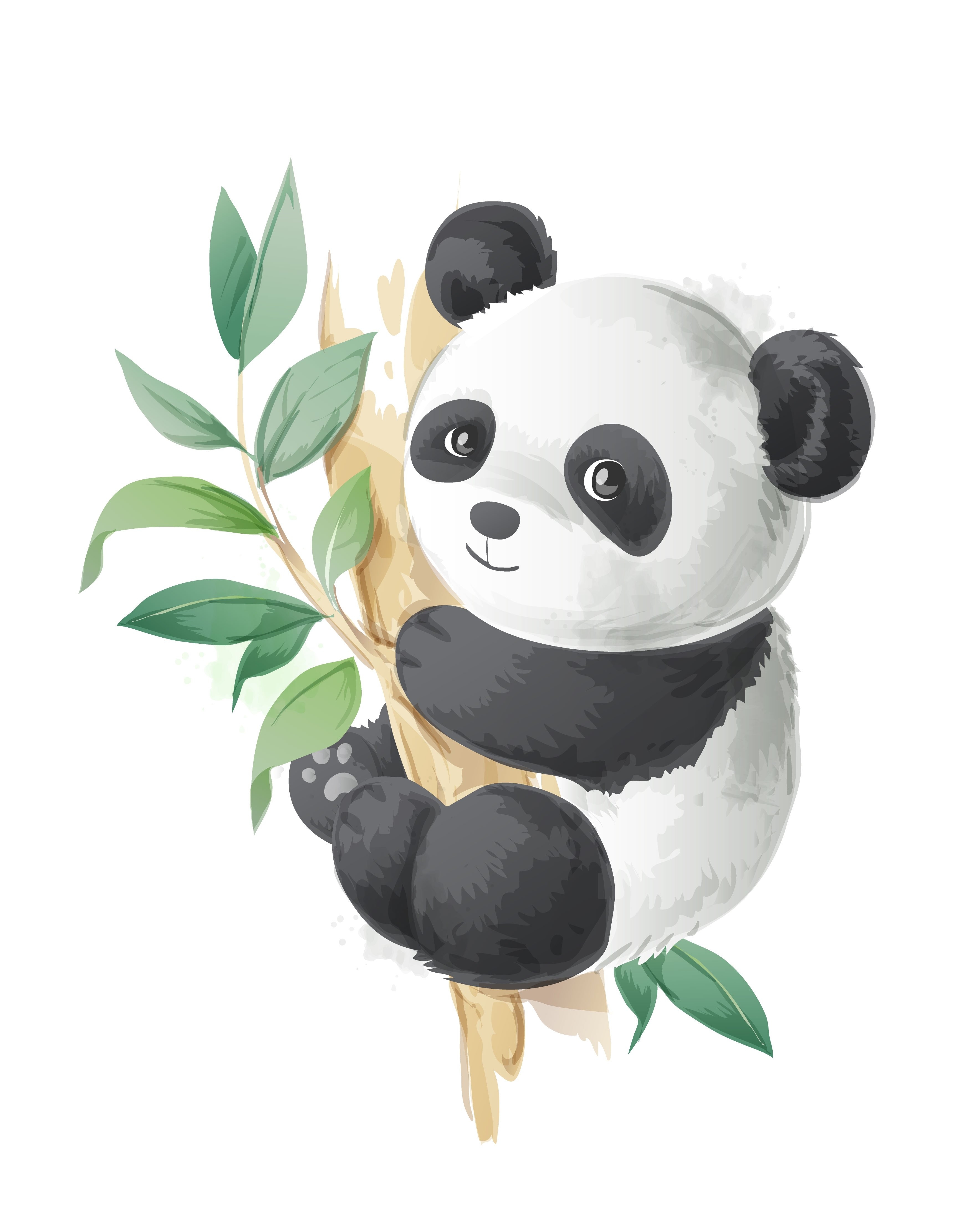 Рисунки панды для срисовки (70 фото)