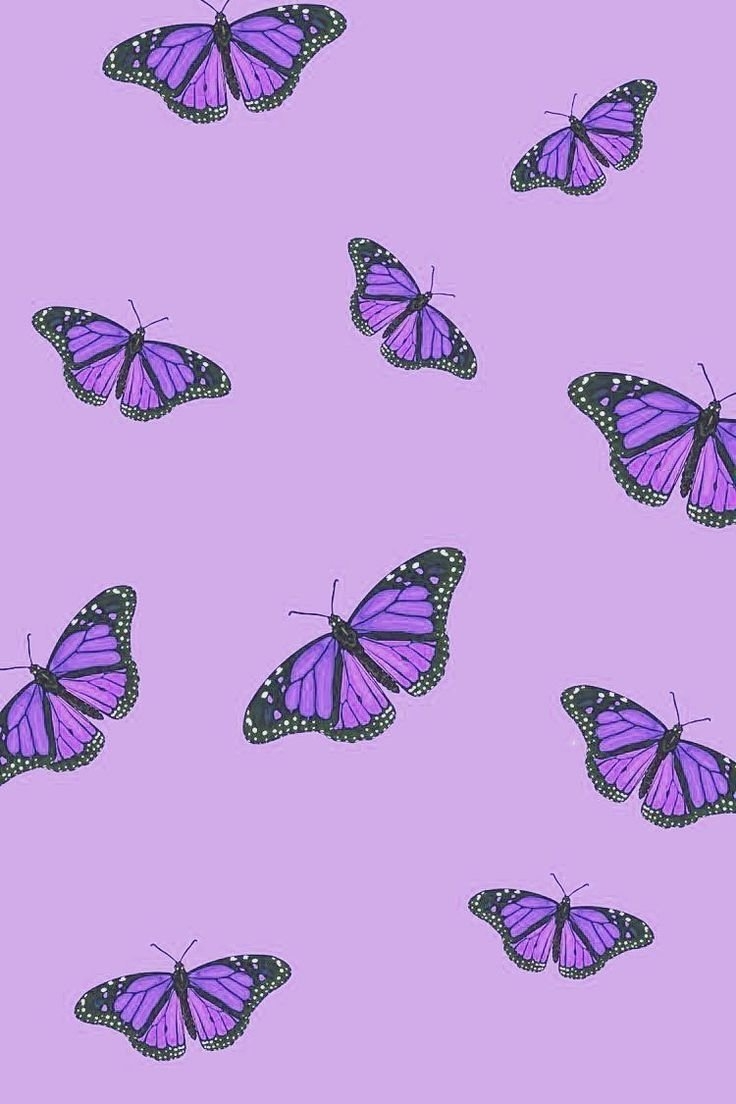 Обои бабочки